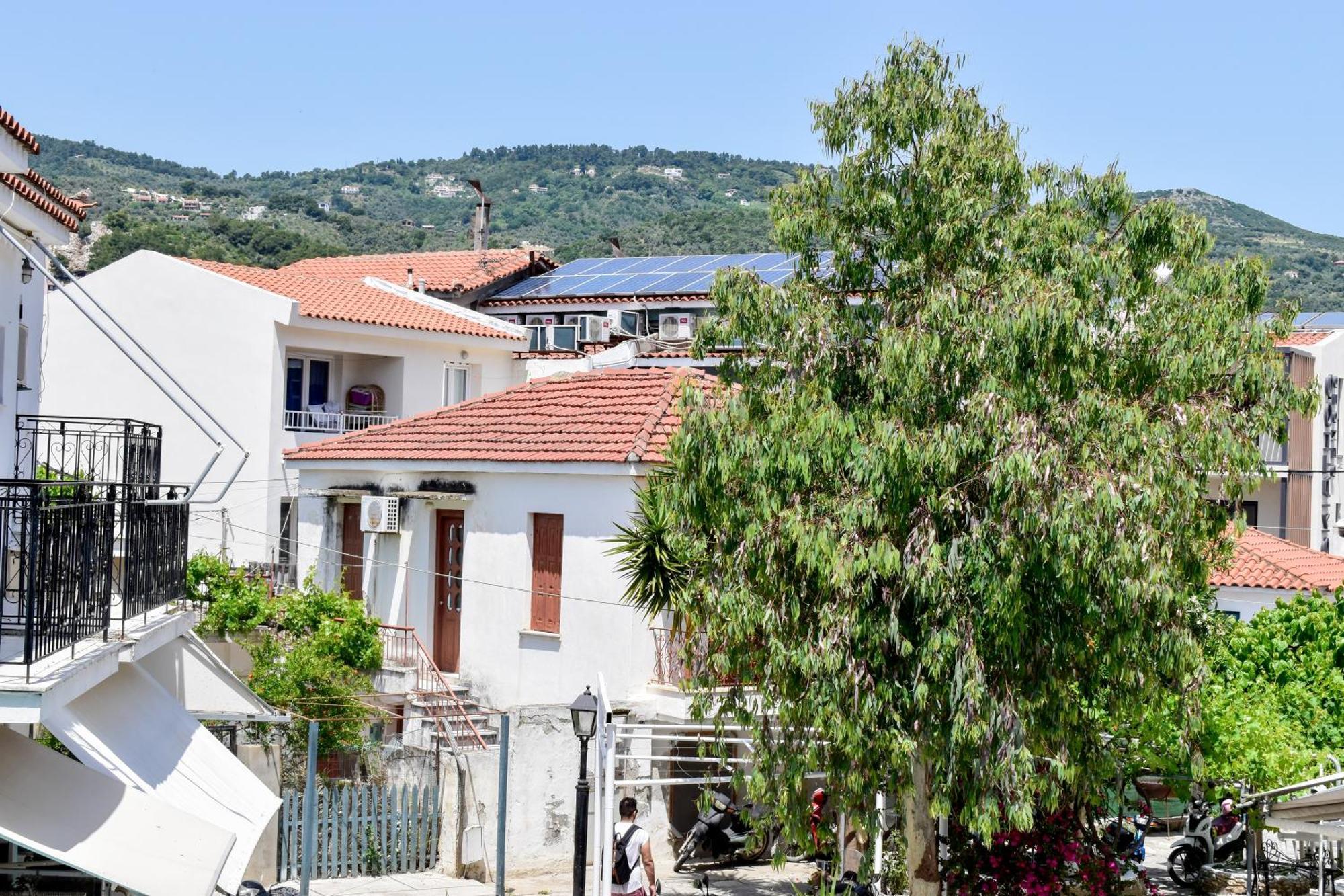 Hotel Entelia Skiathos Habitación foto